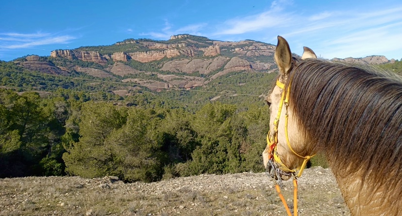 Disfruta de nuestras increibles rutas a caballo por el parque natural de Sant LLorenç.